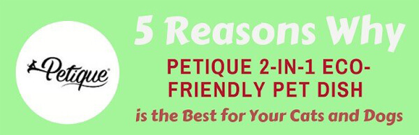 5 Reasons why Petique 2-in-1 Pet Dish is Safer for your Pets-infographic-plaza-thumb
