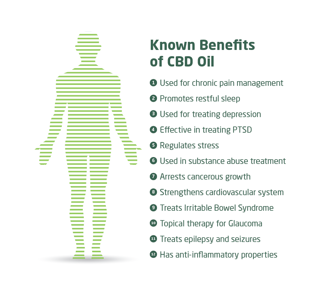 Benefits_of_CBD_Oil-infographic-plaza