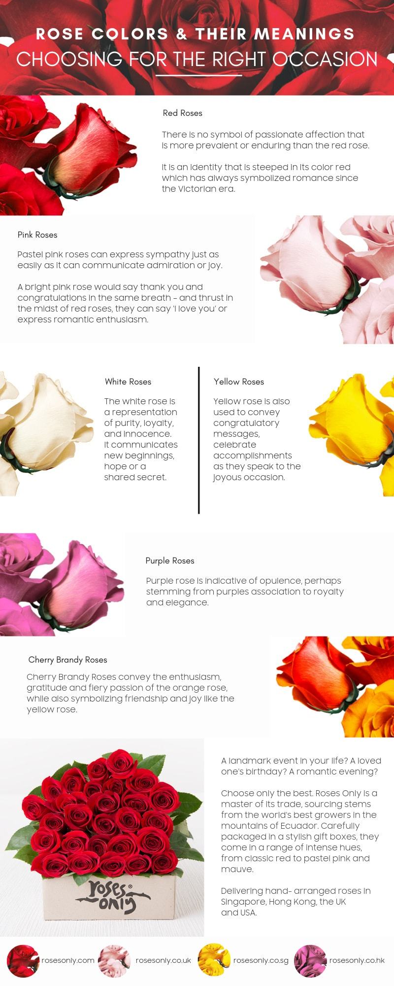 Roses_Only_Colors_and_Meanings_infographic-plaza