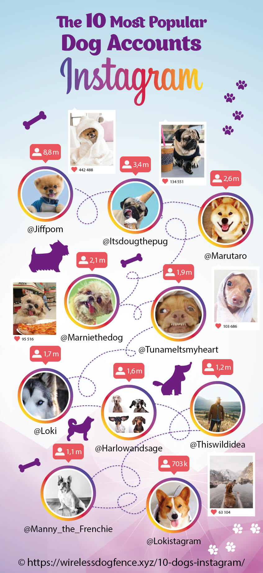 The-10-Most-Popular-Dog-Accounts-on-Instagram-Infographic-plaza