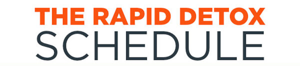 The-Rapid-Detox-Schedule-Opiate-Detox-Institute-infographic-plaza-thumb
