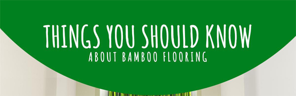 bamboo-flooring-facts-infographic-plaza-thumb