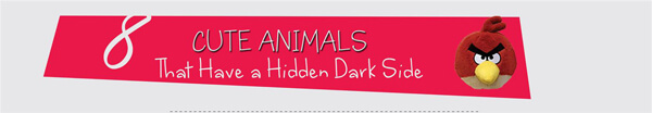 cute-animals-hidden-dark-side-infographic-plaza-thumb