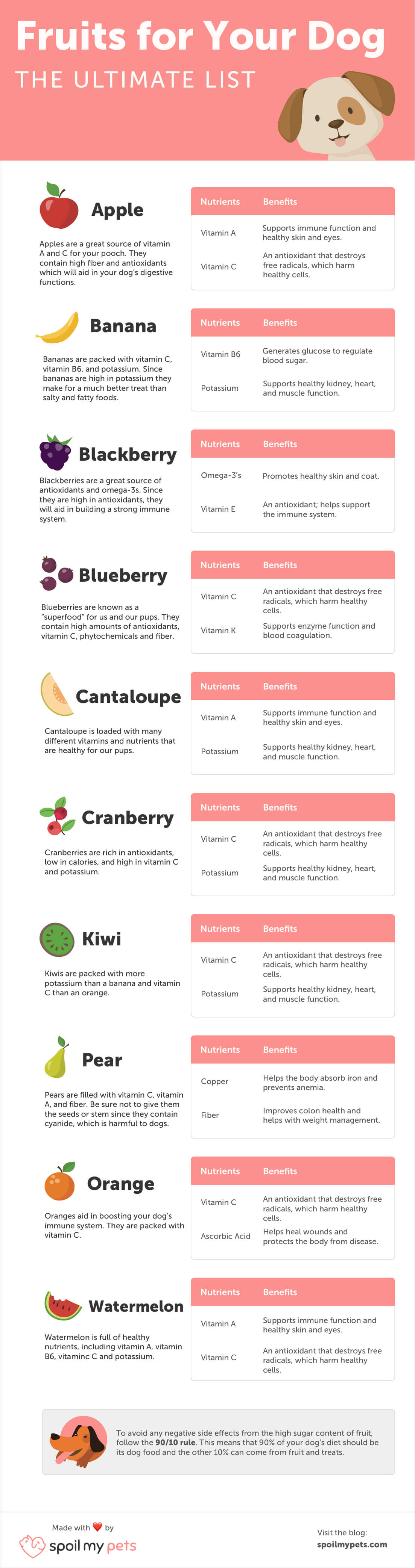 What Fruits Dogs Should Eat: The Ultimate List