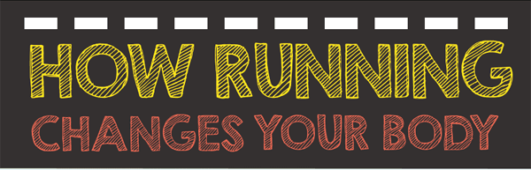 how-running-changes-your-body-infographic-plaza-thumb