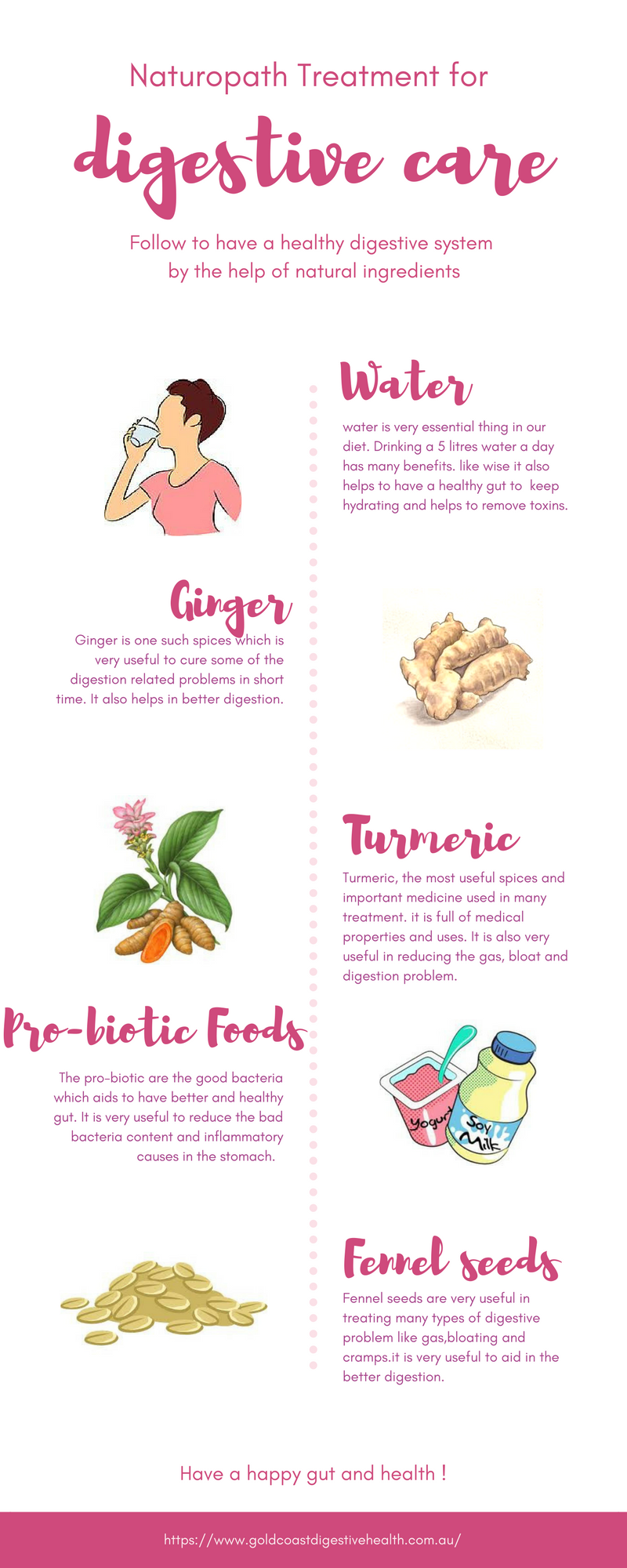 naturopath-the-natural-way-to-treat-your-diseases-infographic-plaza