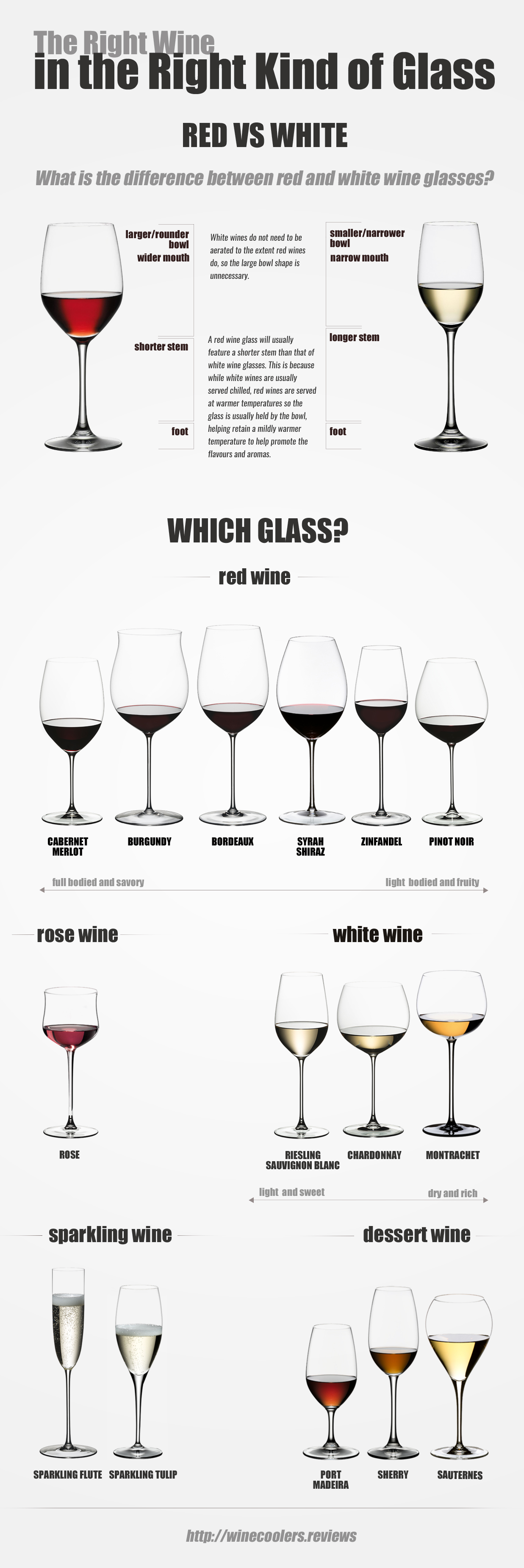 the-right-wine-glasses-infographic