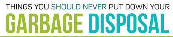 things-should-never-put-down-your-garbage-disposal-infographic-plaza-thumb