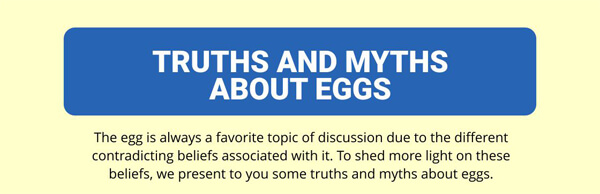 truths-and-myths-about-eggs-infographic-plaza-thumb