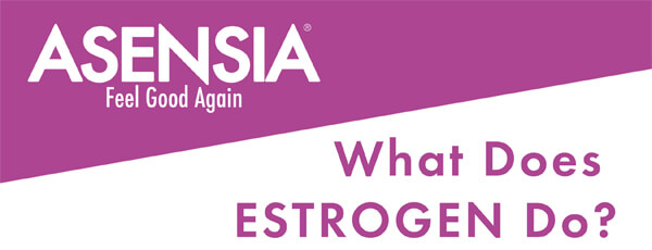 what-does-estrogen-do-infographic-plaza-thumb