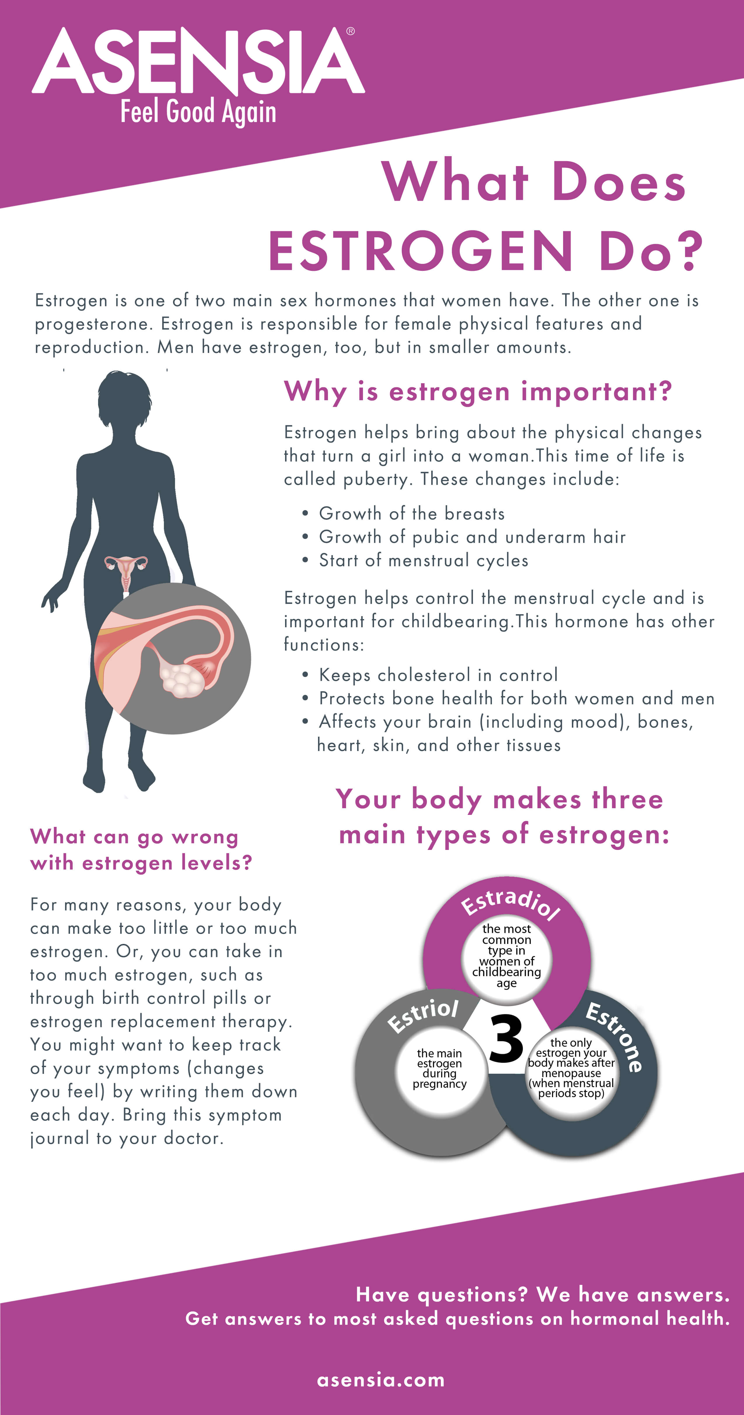 what-does-estrogen-do-infographic-plaza