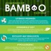Advantages_of_Bamboo_Clothing-Infographic-plaza