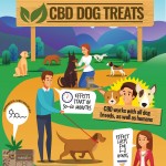 CBD-Dog-Treats-Infographic-plaza