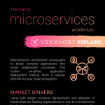 Microservices-architecture-roles-infographic-plaza