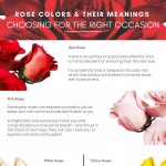Roses_Only_Colors_and_Meanings_infographic-plaza