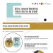 SEO vs Inbound Marketing_ Whats Best for My Brand-infographic-plaza