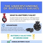 The-Understanding-of-Butterfly-Valves-infographic-plaza