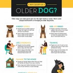 adopting-an-older-dog-infographic-plaza