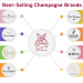 champagne-gifts-brands-infographic-plaza