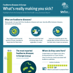foodborne-diseases-Europe-what-is-really-making-you-sick infographic-plaza1