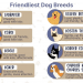 friendliest-dog-breeds-infographic-plaza