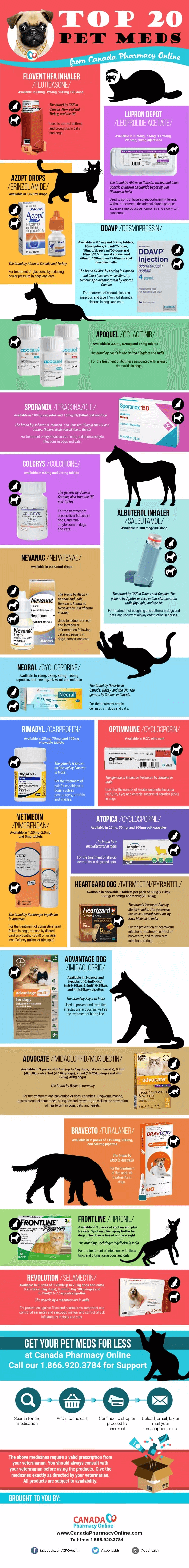 Top 20 Pet Meds from Canada Pharmacy Online [INFOGRAPHIC]