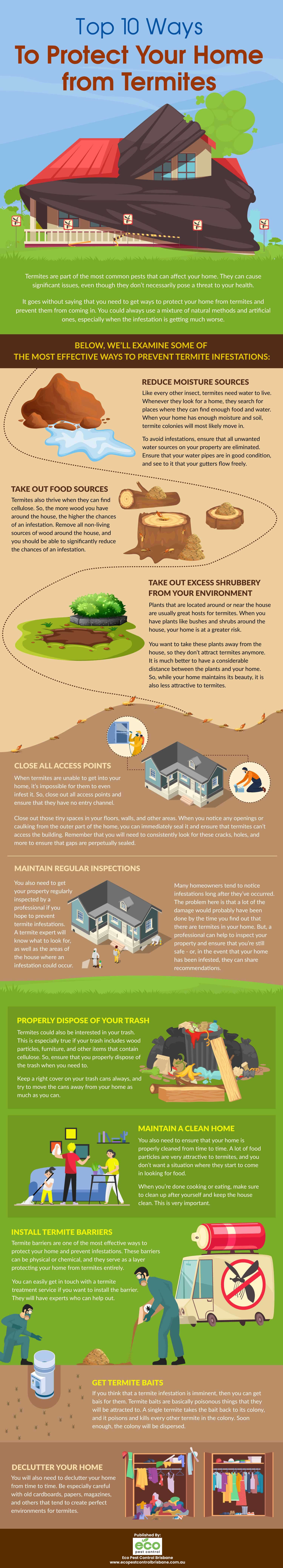 top-10-ways-to-protect-your-home-from-termites-infographic-plaza