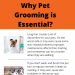 why-pet-grooming-is-essential-infographic-plaza